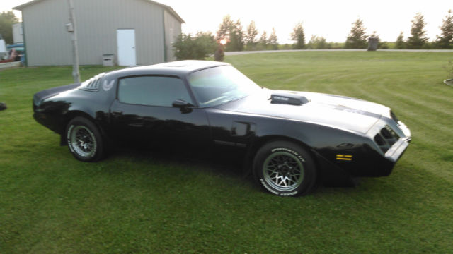 1980 Pontiac Trans Am - photo 2