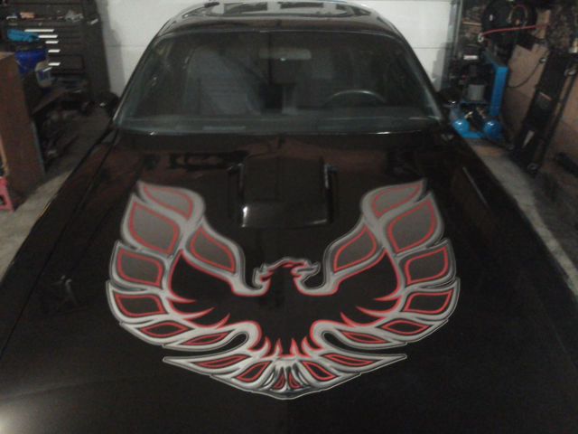 1980 Pontiac Trans Am - photo 8
