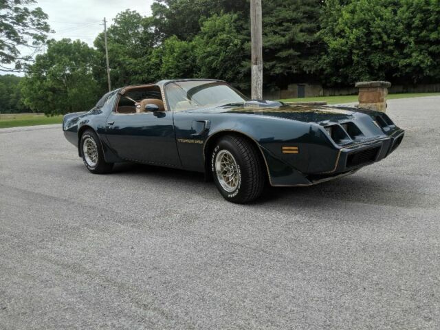 1979 Pontiac Trans Am - photo 11