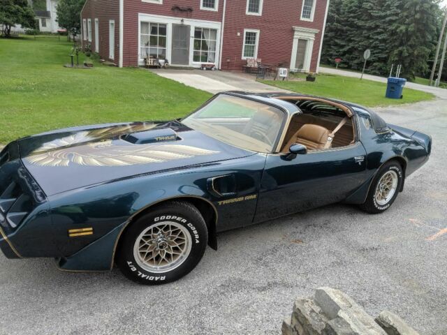 1979 Pontiac Trans Am - photo 9