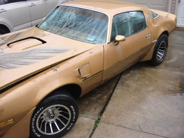 1979 Pontiac Trans Am Base Coupe - photo 11
