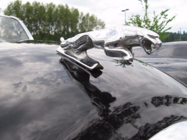 1952 Jaguar XK - photo 8