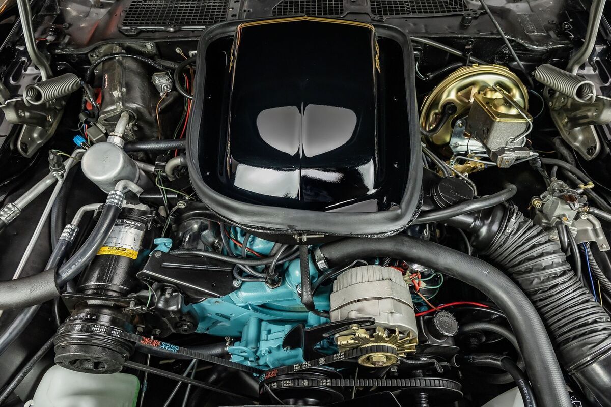 1977 Pontiac Firebird Trans Am Y82 SE - photo 4