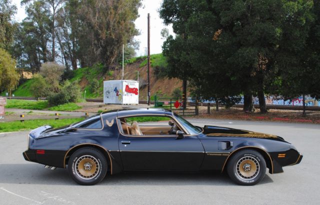 1981 Pontiac Firebird Trans Am - photo 8