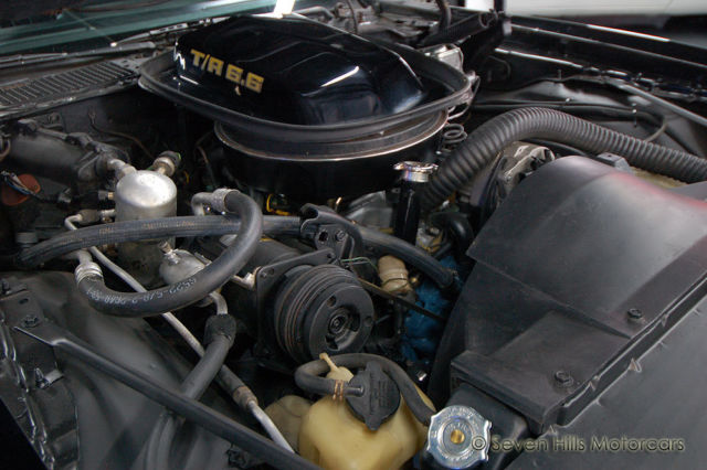 1979 Pontiac Trans Am #'s Match - photo 11
