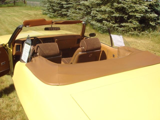 1972 Pontiac Le Mans Sport  Convertible - photo 9