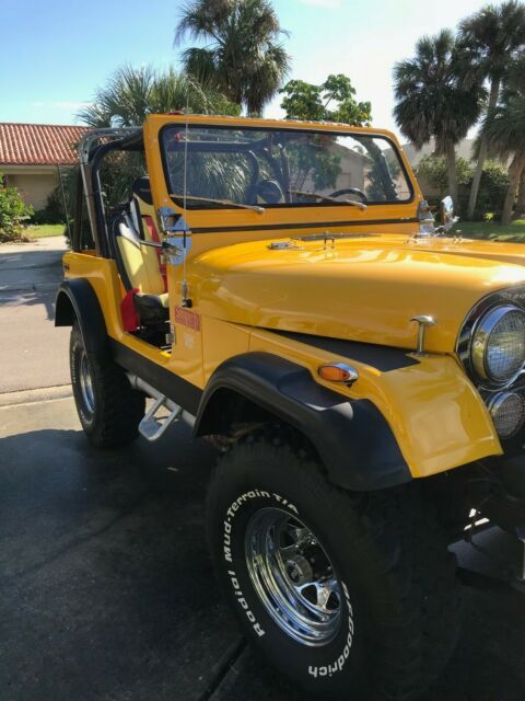 1979 Jeep CJ - photo 8