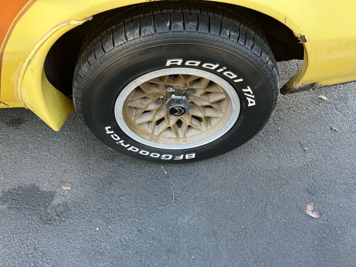 1977 Pontiac Trans Am 6.6 - photo 12