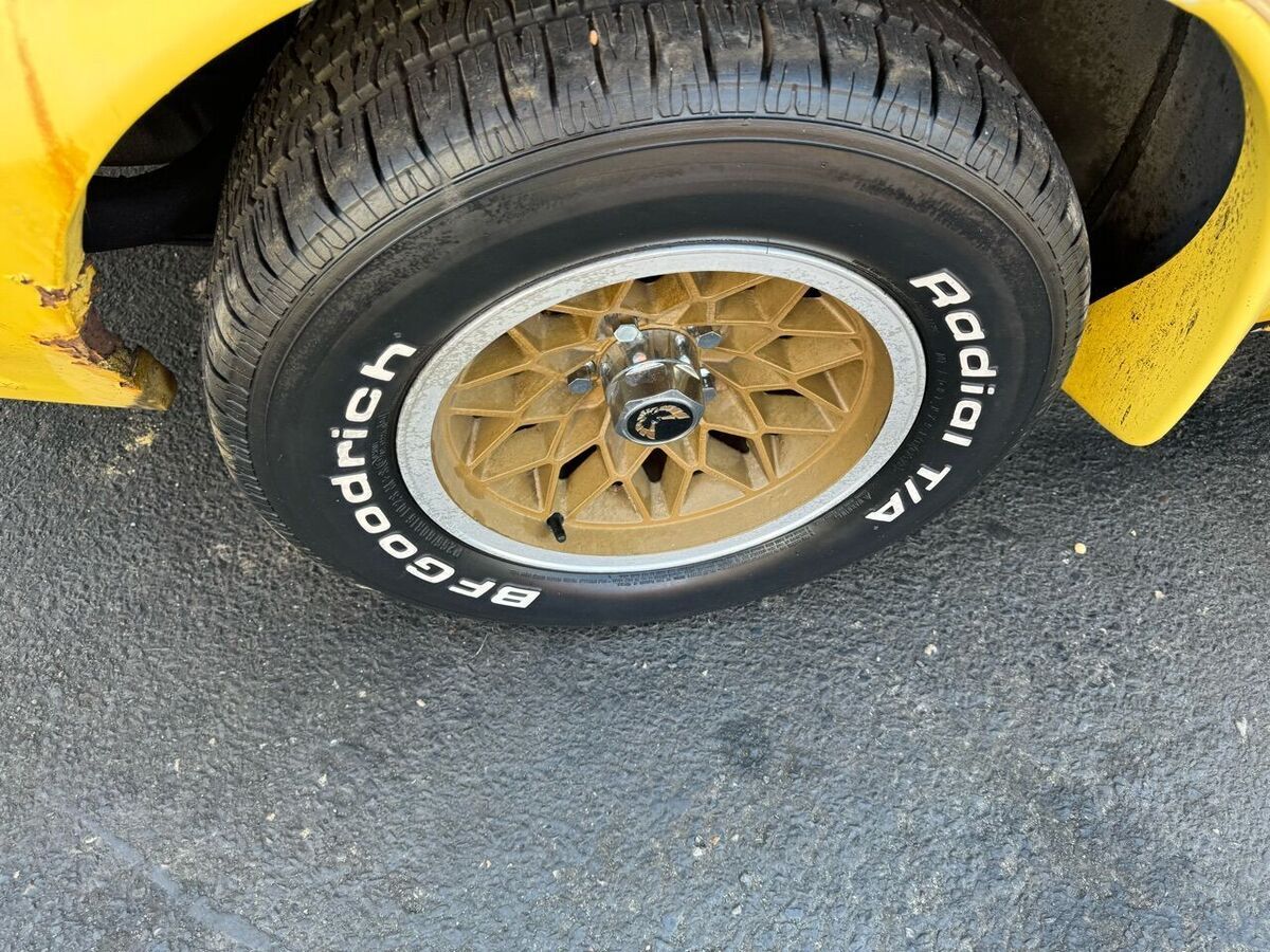1977 Pontiac Trans Am 6.6 - photo 13