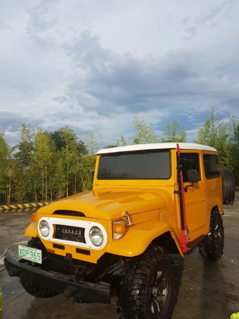 1979 Toyota Land Cruiser 2 door with ambulance door - photo 5