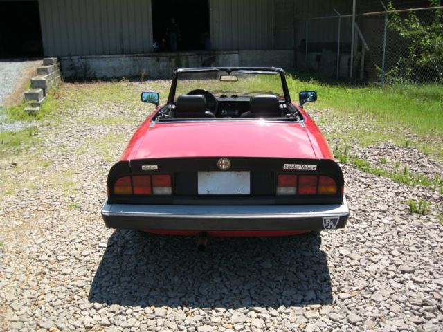 1986 Alfa Romeo Spider - photo 5