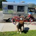 1 OF A KIND 1961 Corvair Rampside Airstream style Camper RV, Vairstream Campside