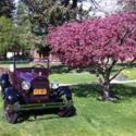 1928 Model A open air Pickup. Excellent condition.