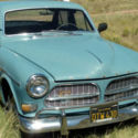 193 Volvo 122s Amazon