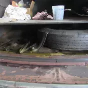 1941 chevy busseness coupe