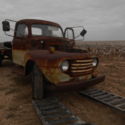 1949 ford truck   F5   NO MOTOR ONLY TRANNY NO TITLE   NO HOOD