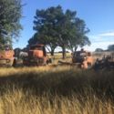 1950 FORD COE ***3 CABS, 2 FRAMES PLUS PARTS**** GREAT START TO A BUILD