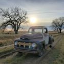 1952 Mercury M1 Ford F1 Barn Find Shop Truck Patina Farm Truck NO RESERVE