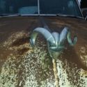 1952 Mopar Dodge Meadowbrook D42, 4 door Sedan, COMPLETE & INTACT