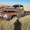 1953 Ford F-100 Base Standard Cab Pickup 2-Door 3.5L