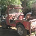 1954 m38A1 willy jeep