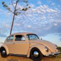 1954 Volkswagen Beetle - Bug - Deluxe Sedan - with 1600cc for Power and Fun!