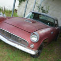 1955 ford thunderbird-baby bird!