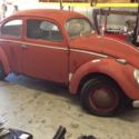 1955 Oval Window Beetle *****NO RESERVE*****