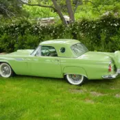 1956 thunderbird car