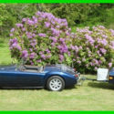 1957 MGA Roadster and 3&#039;x3&#039; Trailer V8 31,198 Mi 5-Spd Manual Leather Show Car