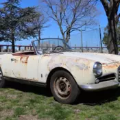 1958 Alfa Romeo Spider Veloce for sale!