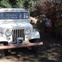 1961 WILLIES JEEP CJ3