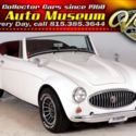 1962 Austin Healey Convertible