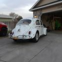 1962 volkswagen bug