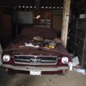 (1964 1/2) 1965 Ford Mustang Coupe Barn Find freshed up driver 260 V8 - VIDEO