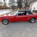 1964 1/2 Ford Mustang - 1965 Ford Mustang