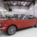 1964 1/2 Ford Mustang Convertible | D-Code 4 barrel carbureted 210 hp V8