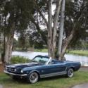 1964 1/2 Ford Mustang Convt GTPack PTop manual AC 47K original miles on title