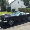1964 1/2 Ford Mustang- in excellent condition!!!- original millage- NO RESERVE!!
