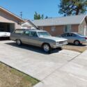 1964 Buick Skylark Sportwagon Wagon Grey RWD Automatic four door