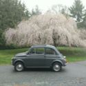 1964 Fiat 500 d - Cinquecento - Restored - Videos in Link