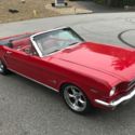 1964 Ford Mustang 1964 1/2 Mustang **Convertible** **260V8**  **Pony Interior**