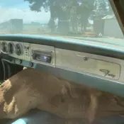 1964 Plymouth Fury 383 Auto