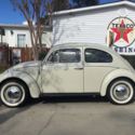 1964 VOLKSWAGEN BEETLE MINT