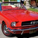 1965 / 1964 1/2 Ford Mustang Convertible - Award Winning - Concours Restored