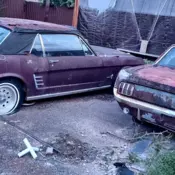 1965 & 1966  Mustang for sale