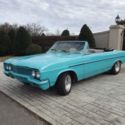 1965 BUICK SKYLARK SPECIAL CONVERTIBLE