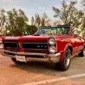1965 convertible  Pontiac GTO &#034;tribute&#034;