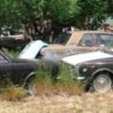 1965 Cortina English Fords, five cars in group, 2 are complet, parked for years