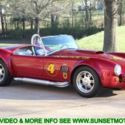 1965 FORD COBRA TERLINGUA RACING ROADSTER CARROL SHELBY REPLICA KIT CAR